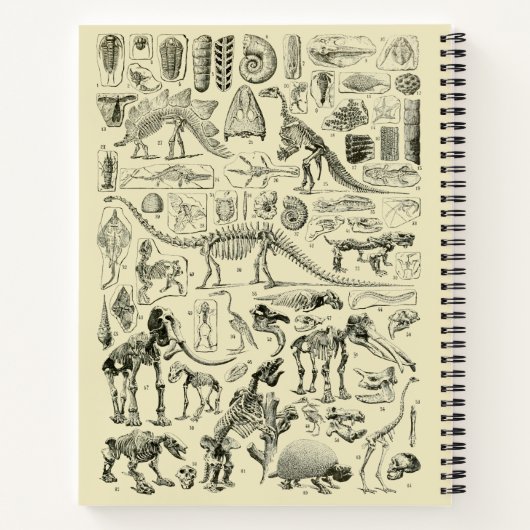  Dinosaur Bone Fossils Art Notitieboek (Achterkant)