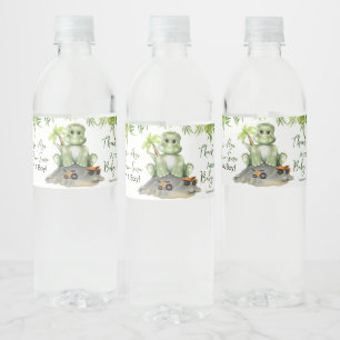Dinosaur Boy Baby shower Waterfles Etiket