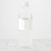 Dinosaur Boy Baby shower Waterfles Etiket (Achterkant)