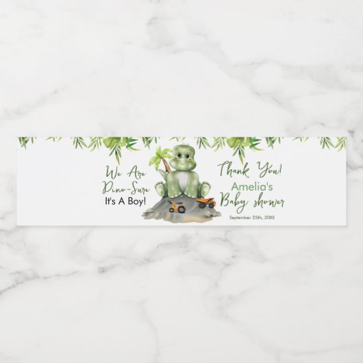 Dinosaur Boy Baby shower Waterfles Etiket (Enkel label)