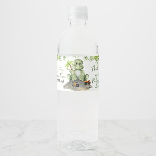 Dinosaur Boy Baby shower Waterfles Etiket (Voorkant)