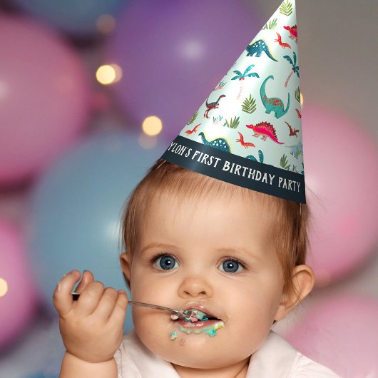 Dinosaur boy First Birthday Blue Party Pet Feesthoedjes