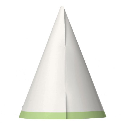 Dinosaur Boy Kids Verjaardagsfeestje Petten Feesthoedjes (Achterkant)