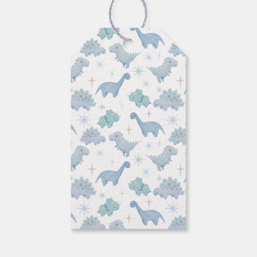 Dinosaur Boys Birthday Party Cadeaulabel (Achterkant)