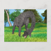 Dinosaur Brachiosaurus Briefkaart (Voorkant)