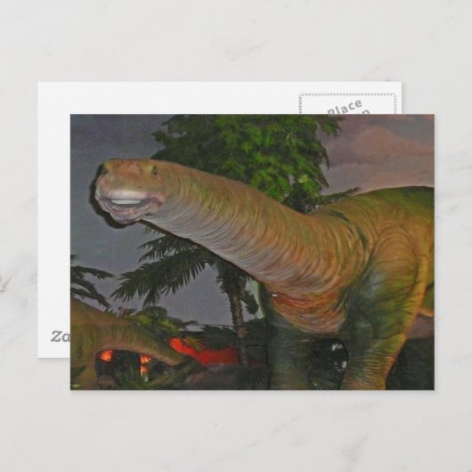 Dinosaur briefkaart (Voorkant / Achterkant)