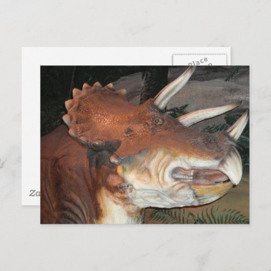 Dinosaur briefkaart (Voorkant / Achterkant)