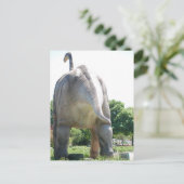 Dinosaur Brontosaurus Briefkaart (Staand voorkant)
