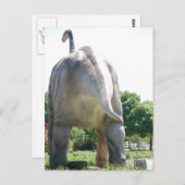 Dinosaur Brontosaurus Briefkaart (Voorkant / Achterkant)