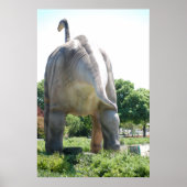 Dinosaur Brontosaurus Poster (Voorkant)