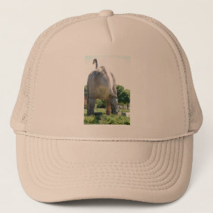 Dinosaur Brontosaurus Trucker Pet