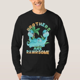 Dinosaur Brother 3 Brothers Big Little Middle Rawr T-shirt