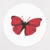 Dinosaur, Butterflies en Kikker Labels (Design 2)