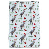 Dinosaur Christmas Wrapping Paper Roll Medium Cadeauzakje (Achterkant)