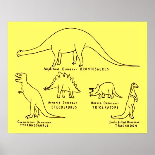 Dinosaur Classification Poster (Voorkant)