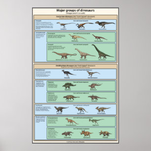 Dinosaur Classification Vereenvoudigd Poster