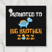 Dinosaur Egg Hatching promoot aan Big Brother Bedankjes Labels (Voorkant)