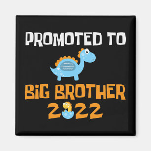 Dinosaur Egg Hatching promoot aan Big Brother Magneet