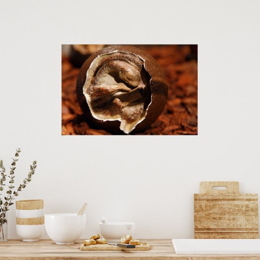 Dinosaur-ei met embryo poster (Keuken)