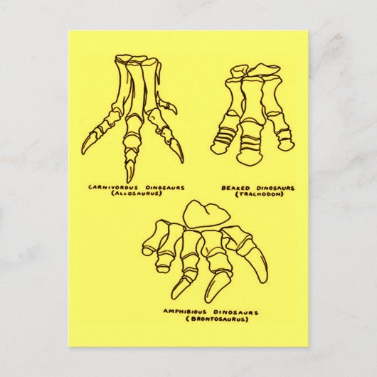 Dinosaur Foot Botten Briefkaart (Voorkant)