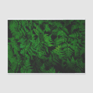 Dinosaur Forest Tissuepapier