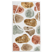 Dinosaur fossiel kind verjaardagsfeestje cadeauzak klein cadeauzakje (Achterkant)