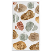 Dinosaur fossiel kind verjaardagsfeestje cadeauzak klein cadeauzakje (Voorkant)