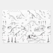 Dinosaur Fossil Botten Patroon Inpakpapier Vel (Voorkant 2)