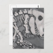 Dinosaur Fossil Briefkaart (Voorkant / Achterkant)