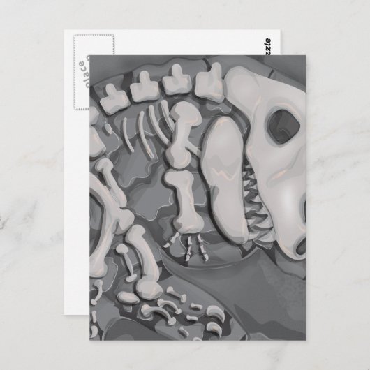 Dinosaur Fossil Briefkaart (Voorkant / Achterkant)