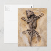 Dinosaur Fossil Briefkaart (Voorkant / Achterkant)