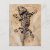 Dinosaur Fossil Briefkaart (Voorkant)