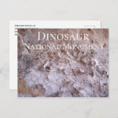 Dinosaur Fossils Dinosaur National Monument Quarry Briefkaart (Voorkant / Achterkant)