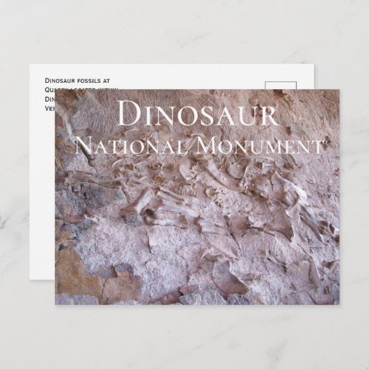 Dinosaur Fossils Dinosaur National Monument Quarry Briefkaart (Voorkant / Achterkant)