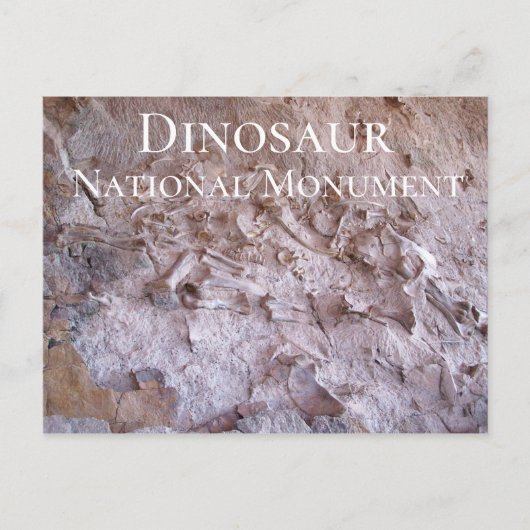 Dinosaur Fossils Dinosaur National Monument Quarry Briefkaart (Voorkant)