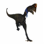 Dinosaur Fotosculptuur Oviraptor Gregory Paul Staand Fotobeeldje<br><div class="desc">Oviraptor,  een bizarre dinosaurus uit Mongolië.</div>