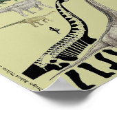 Dinosaur Groepen Schaal Poster Grafiek Gregory Pau (Hoek)