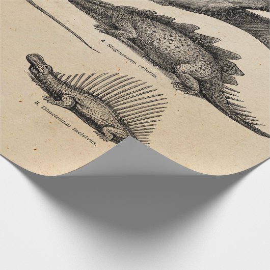  Dinosaur Illustratie Retro Dinosauriërs Cadeaupapier (Hoek)