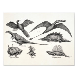  Dinosaur Illustratie Retro Dinosauriërs Foto Afdruk