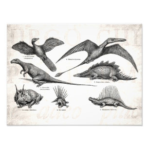  Dinosaur Illustratie Retro Dinosauriërs Foto Afdruk