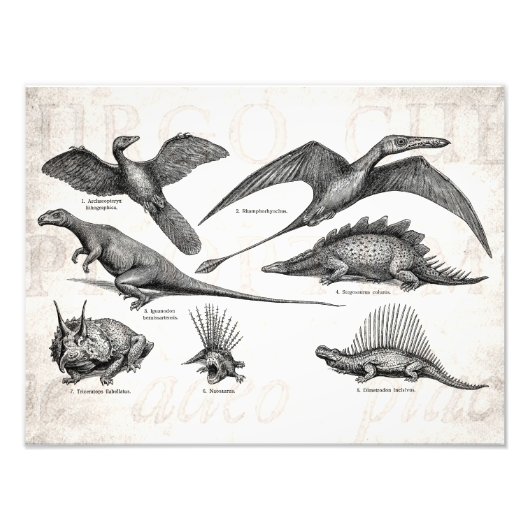 Dinosaur Illustratie Retro Dinosauriërs Foto Afdruk (Voorkant)