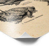  Dinosaur Illustratie Retro Dinosauriërs Foto Afdruk (Hoek)