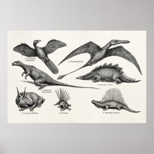  Dinosaur Illustratie Retro Dinosauriërs Poster