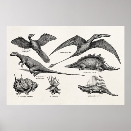  Dinosaur Illustratie Retro Dinosauriërs Poster (Voorkant)