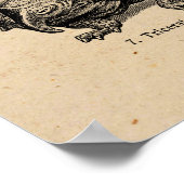 Dinosaur Illustratie Retro Dinosauriërs Poster (Hoek)