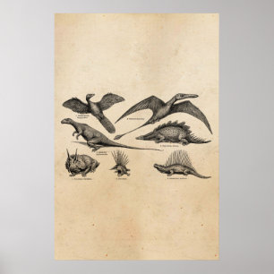  Dinosaur Illustratie Retro Dinosauriërs Poster