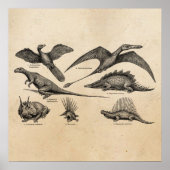  Dinosaur Illustratie Retro Dinosauriërs Poster (Voorkant)