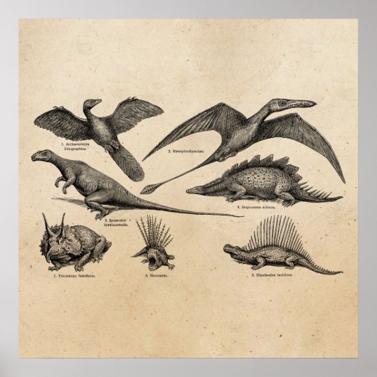  Dinosaur Illustratie Retro Dinosauriërs Poster (Voorkant)