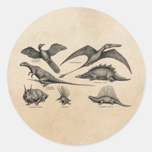 Dinosaur Illustratie Retro Dinosauriërs Ronde Sticker (Voorkant)