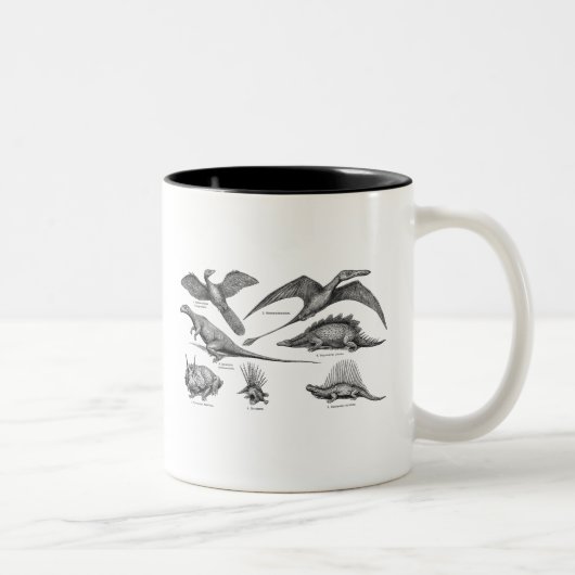  Dinosaur Illustratie Retro Dinosauriërs Tweekleurige Koffiemok (Rechts)